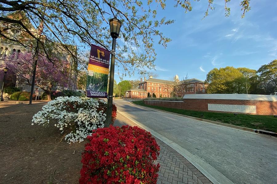 Flowers on campus beside Agnes Scott sign